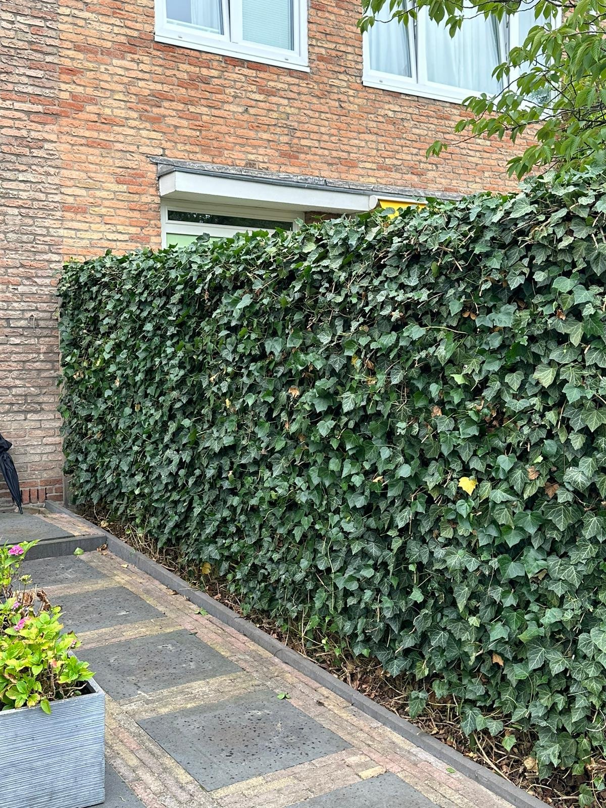 Onderhoud